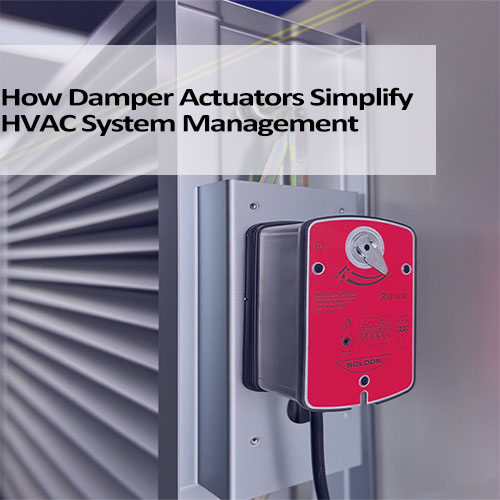 1757313580819897.jpg 36ccee401396c6e929574cdeacc2bcdf.jpg