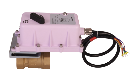 Explosion Proof Damper Actuator and Ball Valve