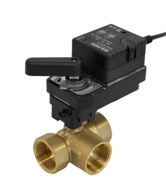 S8081 Series Electric Control Actuator and Valve
